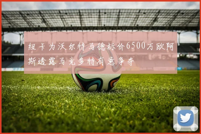 纽卡为沃尔特马德标价6500万欧阿斯透露马竞多特有意争夺